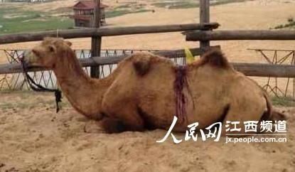 第1040页