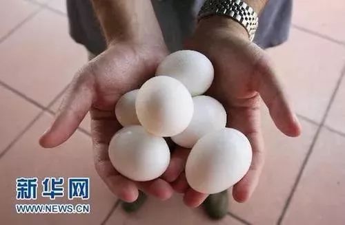 港澳新闻 第175页
