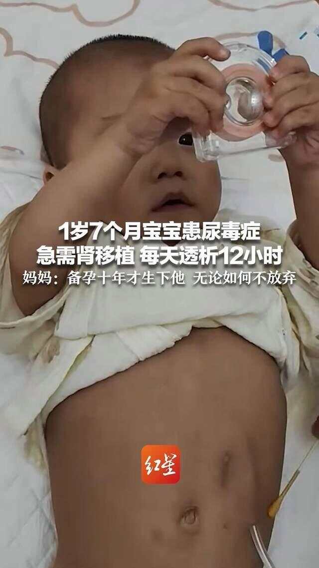 最新资讯 第177页