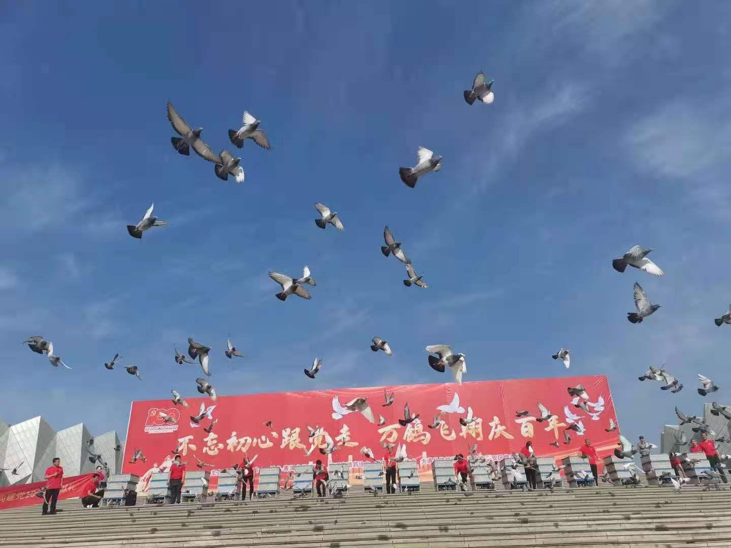 娱乐生活 第5页